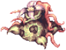 Mandragora
