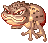 Poisonous Toad
