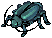 Thief Bug Male