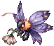Papila