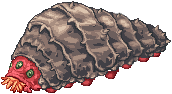 Grave worm