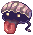 Deep Sea Shellfish