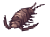 Deep Sea Kukre