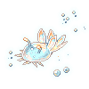 Melibe Snail