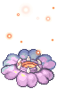 Firafflesia