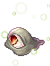 Big Eye