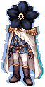 Myosotis