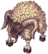Solid Goat